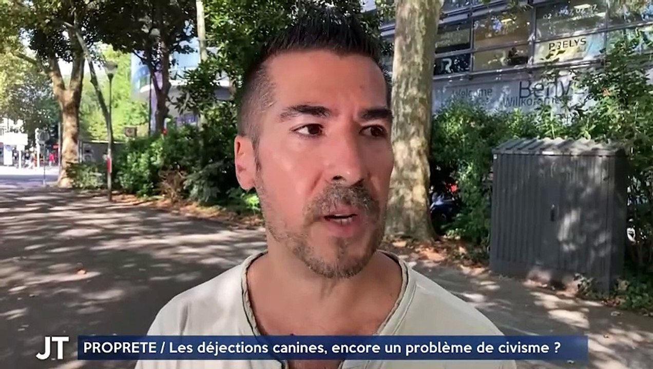 PROPRETÉ / Les déjections canines, encore un problème de civisme ?