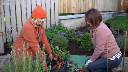 Beechgrove Garden in Winter 2023 episode 2