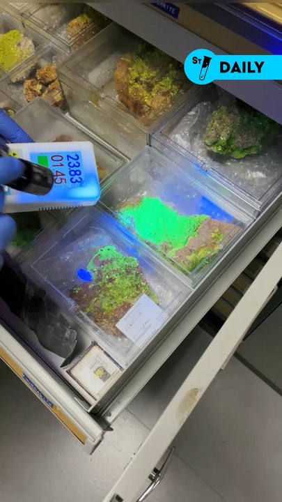 Immersion dans la réserve de minéraux de La Sorbonne avec @monsieurlechat94 ☢️