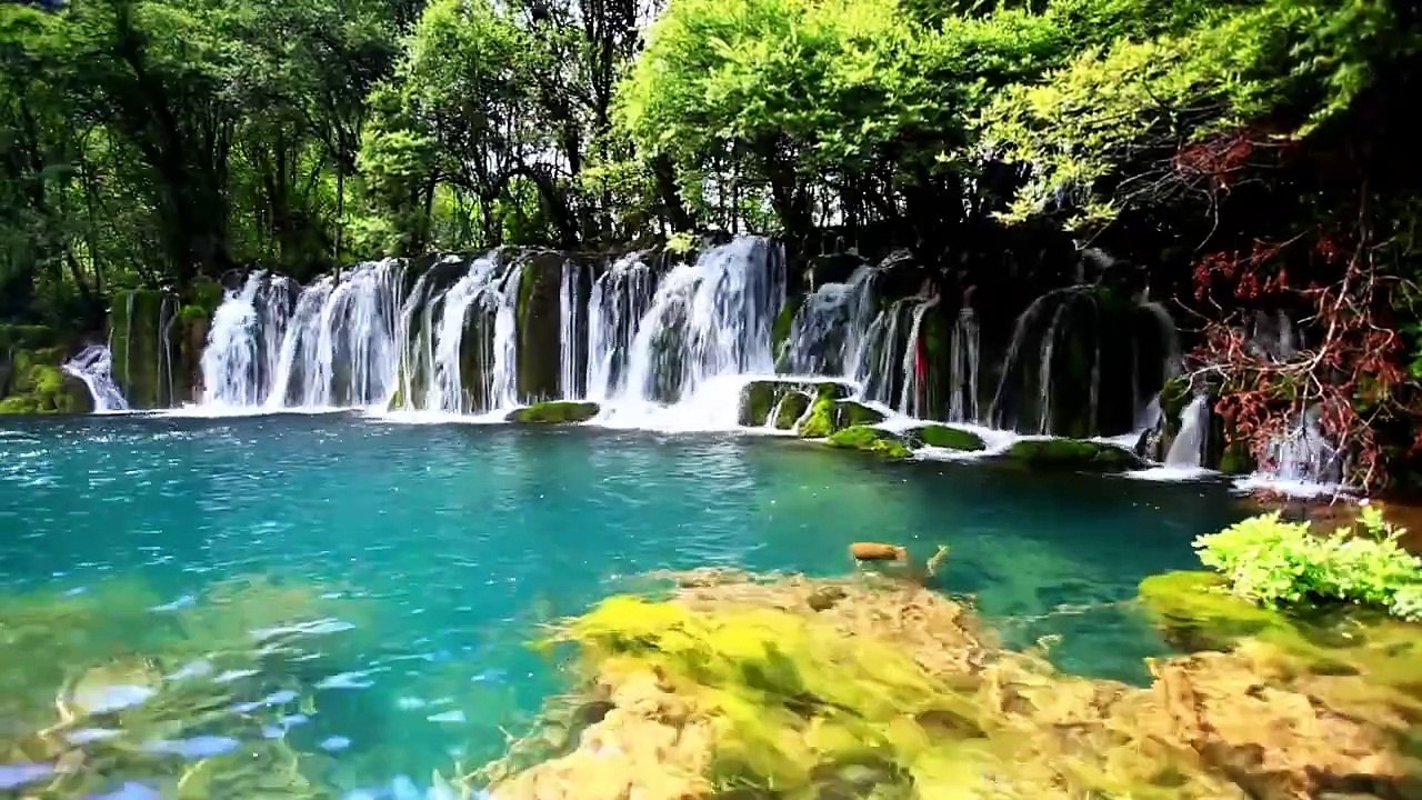 The most beautiful natural views and nature sounds for relaxation