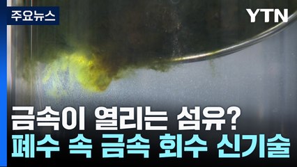 금속이 열리는 섬유?...폐수 속 금속 회수 신기술 / YTN