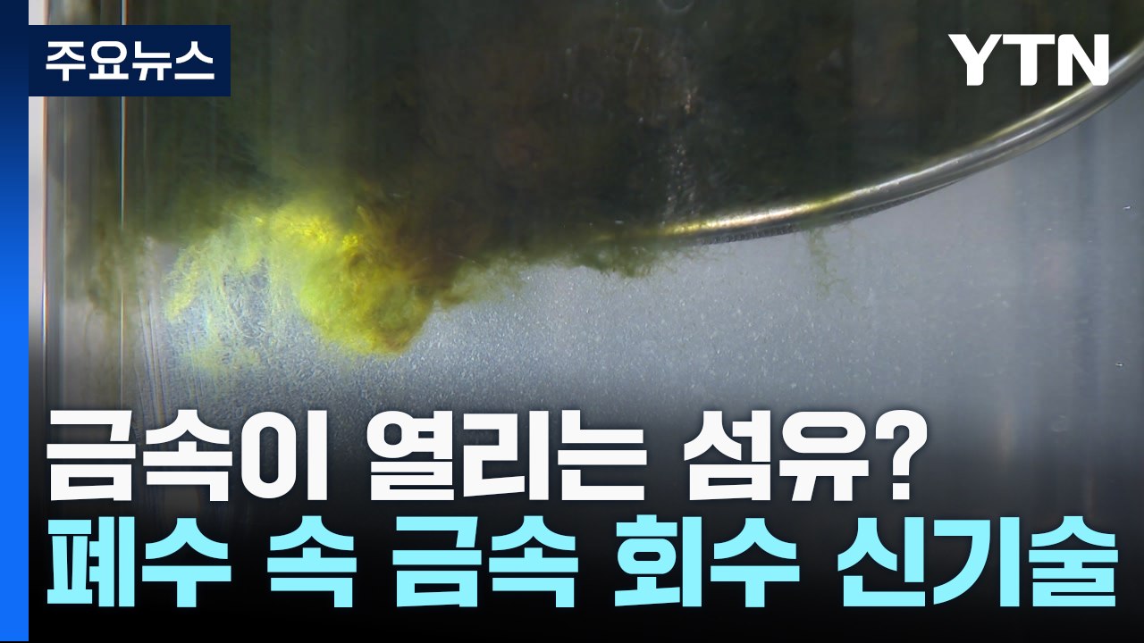 금속이 열리는 섬유?...폐수 속 금속 회수 신기술 / YTN