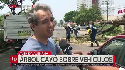 Dos vehículos quedaron dañados tras la caída de un árbol por los fuertes vientos en Santa Cruz