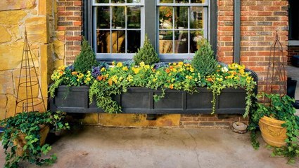 8 Fall Flower Box Ideas To Dress Up Your Windows