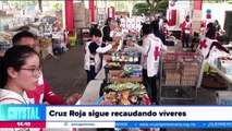 La Cruz Roja sigue recaudando víveres para los damnificados de Guerrero