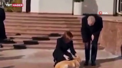 Moldova Cumhurbaşkanı'nın köpeği Avusturya Cumhurbaşkanı'nın elini ısırdı
