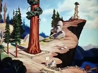 Donald Duck Old Sequoia 1945 (Low)