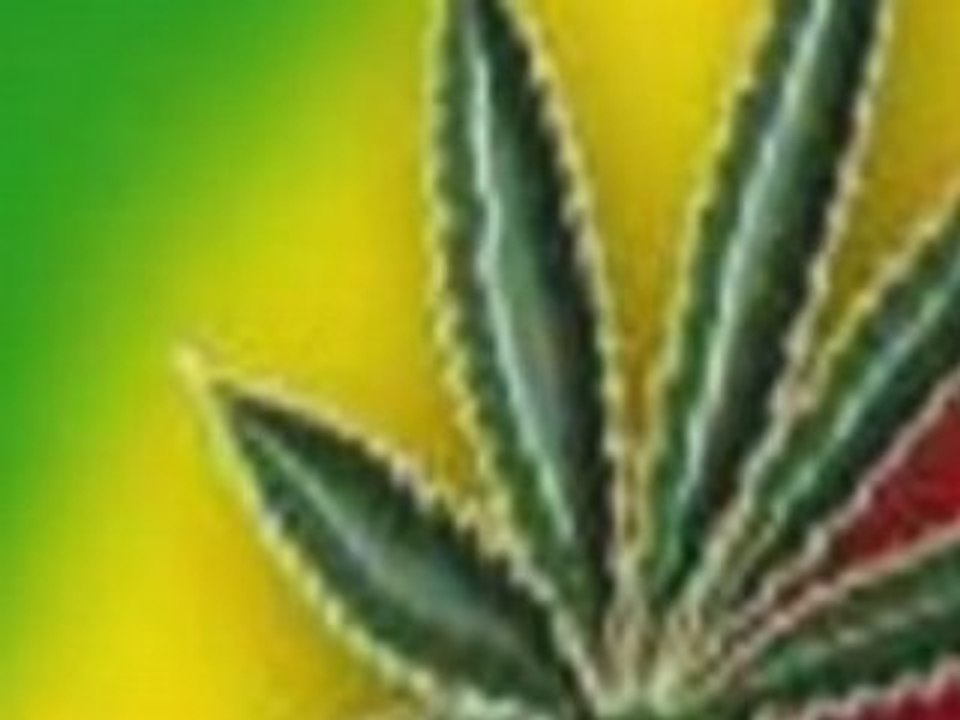 LOTFI DOUBLE KANON " koulech machi " 2008