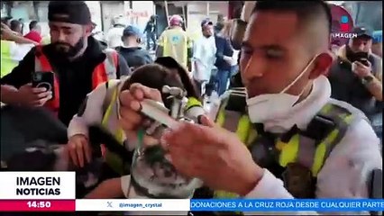 VIDEO: Rescatistas de CDMX dan primeros auxilios a un gatito