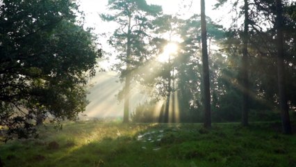 INVRAISEMBLANCES - Celtic morning