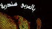 فيلم - بالعربي سندريلا - بطولة هالة فاخر،  ميمي جمال 2006