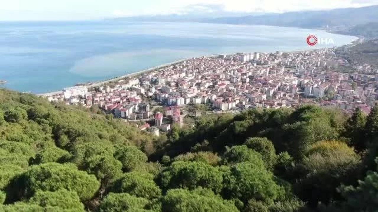 Trabzon'un Araklı ilçesinde çöp tesisi yerine Millet Ormanı yapılıyor