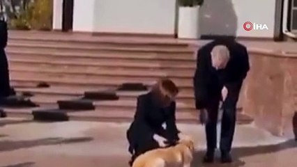 Cumhurbaşkanlarının zor anları kamerada: Bir anda elini ısırdı