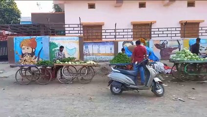 मटर अभी भी भोजन से दूर, भाव 100 रुपए किलो