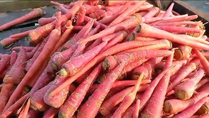 मटर अभी भी भोजन से दूर, भाव 100 रुपए किलो