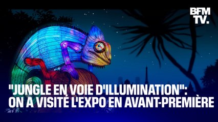« Jungle en voie d’illumination" : découvrez en avant-première l’exposition