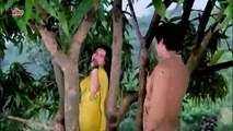 Mahiya Mera Man / Asha Bhosle /1981 Poonam / Raj Babbar, Poonam Dhillon