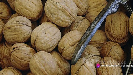 Walnuts: Tiny Powerhouses for Health 🥜