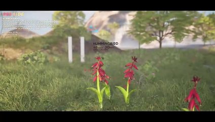 SPEED COMPARISON 3D _ Birds