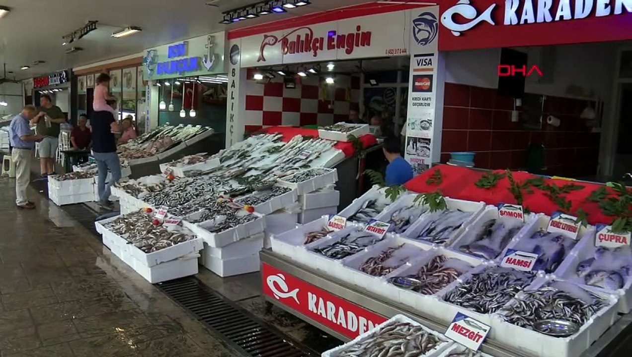 Karadeniz'de Balık Stoklarında Çöküş Yaşanıyor