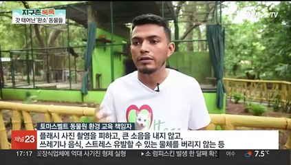 [헤이!월드] "출생 신고합니다!"…세상 밖으로 나온 '완소' 동물 外