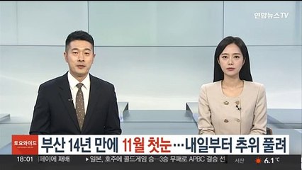 "우와! 부산에도 눈 내려요"…14년 만에 11월 첫눈