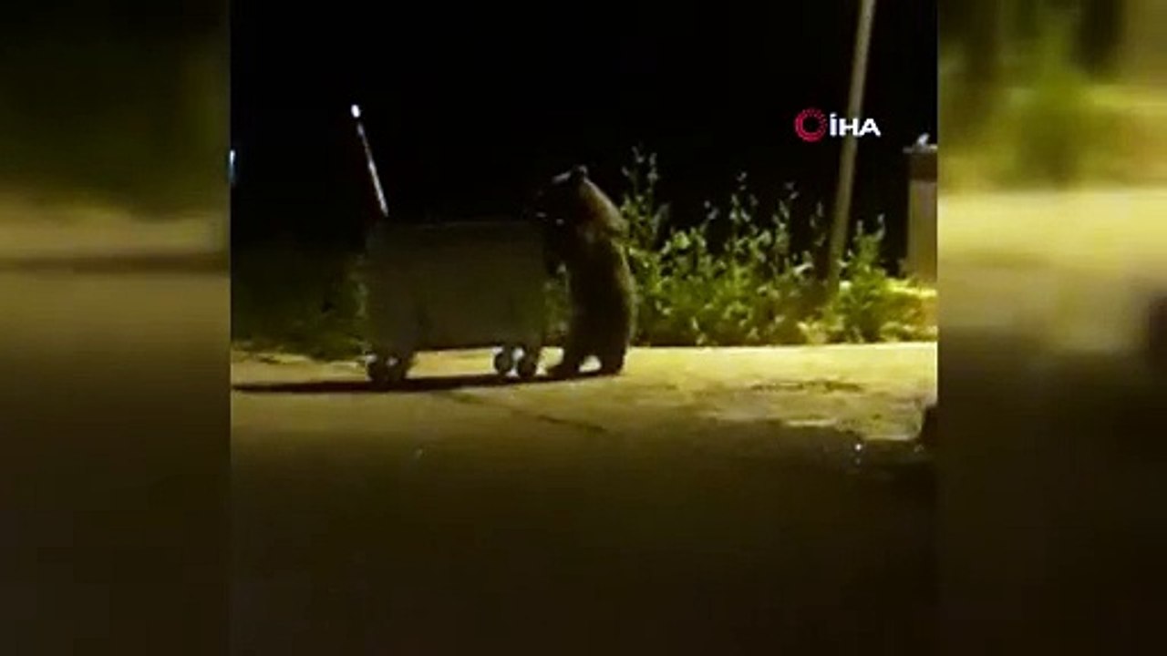 Mekanları basınca, mekan sahipleri onlara böyle ziyafet çekti