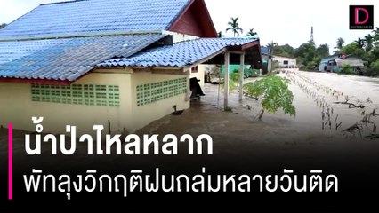 จมบาดาล! พัทลุงวิกฤติฝนถล่มหลายวันติด น้ำป่าไหลหลากเข้าท่วม 4 อำเภอ | HOTSHOT เดลินิวส์ 18/11/66