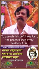 Significance of peacock feather donned by Bhagwan Krishna on his forehead - Sadguru Aniruddha Bapu