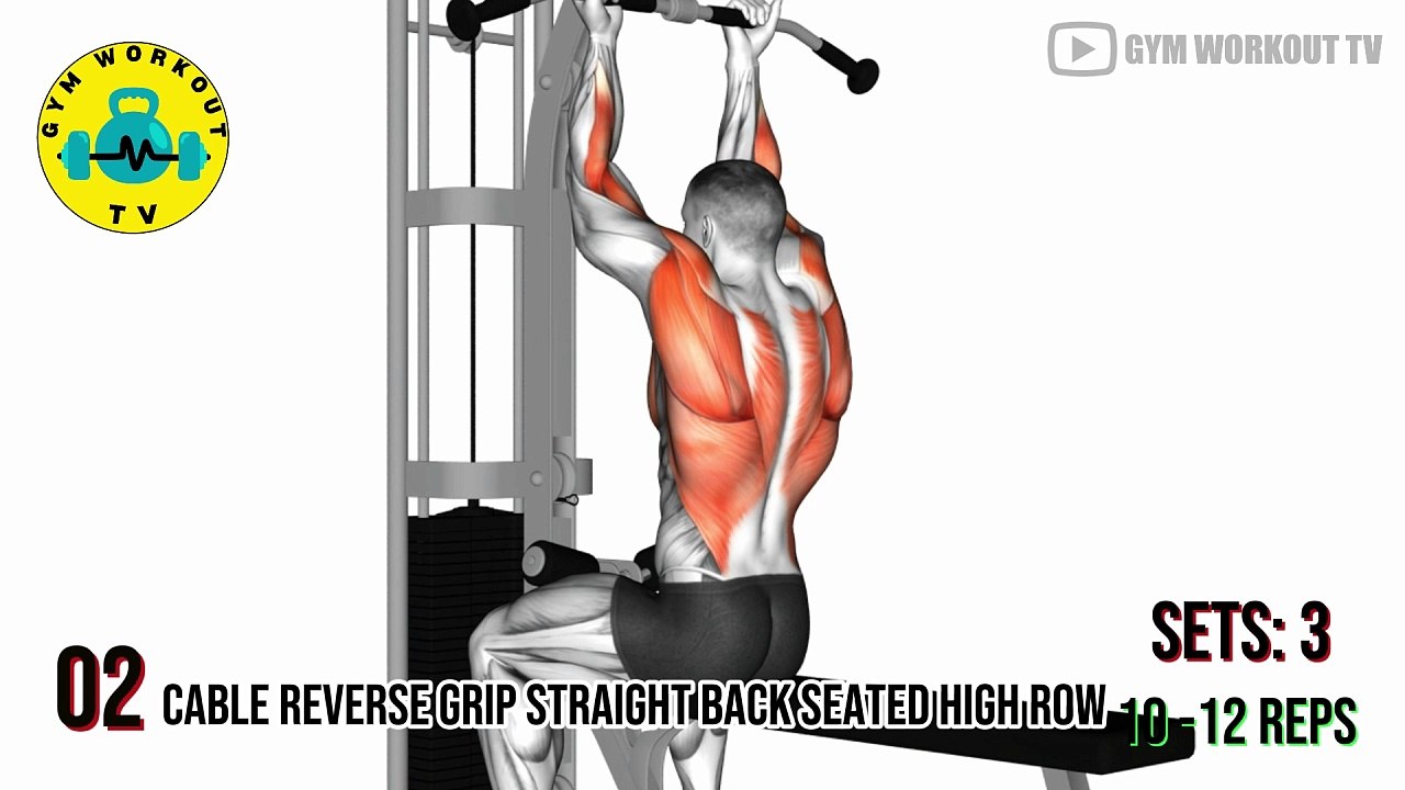 3-Day PPL Workout Routine. Day 2- Pull Workout (Back & Biceps)