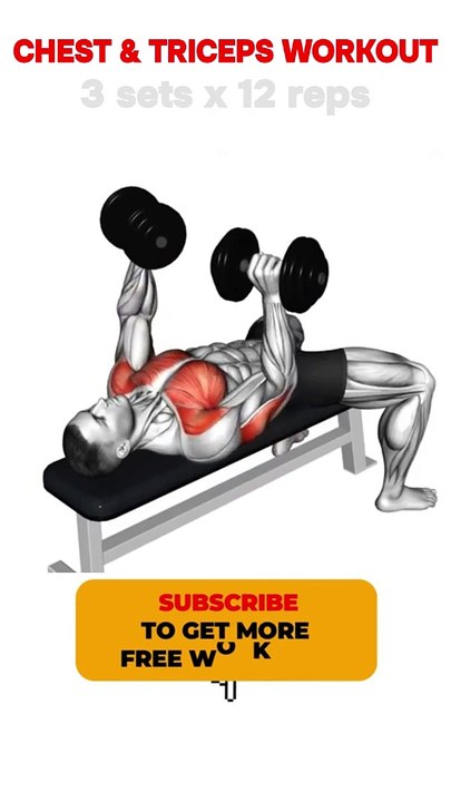 Chest and Triceps Workout Shorts #chestworkout  #tricepsexercises  #bodybuilding #shorts #short