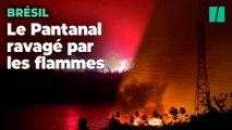 Au Brésil, la plus grande zone humide du monde en proie à des incendies 