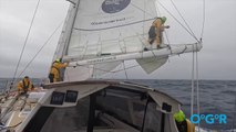 Ocean Globe Race 2023  - Translated 9 - Offshore Media 13/11/2023