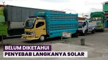 Solar Langka, Antrean Truk Mengular hingga ke Jalan Raya di Jalur Trans Sulawesi