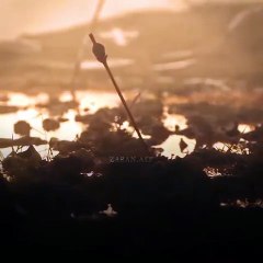 Salahuddin Ayyubi -- __ New Trailer __ Edit _shorts _salahuddinayubi _edit(360P)