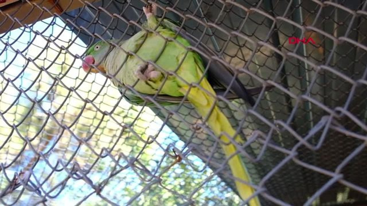 Antalya Büyükşehir Belediyesi Doğal Yaşam Parkı, Ara Tatilde Ziyaretçi Akınına Uğruyor