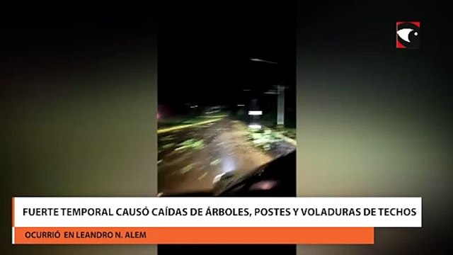 Fuerte temporal causó caídas de árboles, postes y voladuras de techos