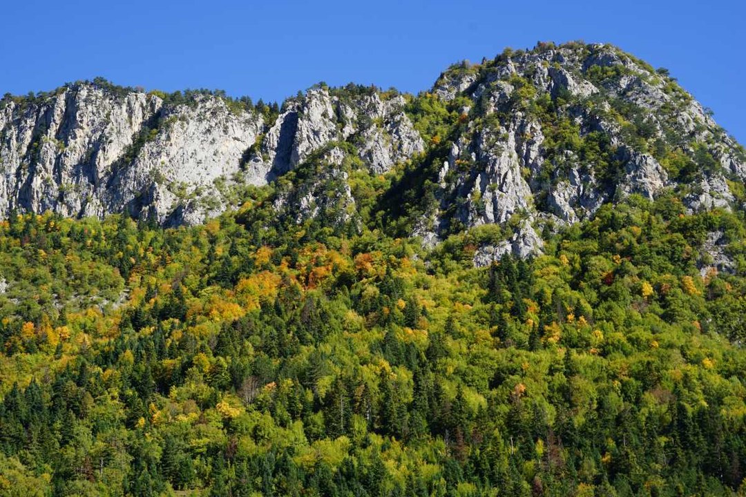 Türkiye’deki tek "Pan Parks": Küre Dağlarında sonbahar manzaraları