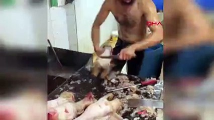 Hijyenik olmayan sakatat temizliği yapılan iş yeri mühürlendi