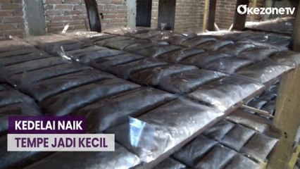 Imbas Kedelai Naik, Tahu dan Tempe Diperkecil Imbas