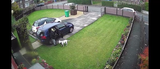 Dog Is Outsmarted By Owner