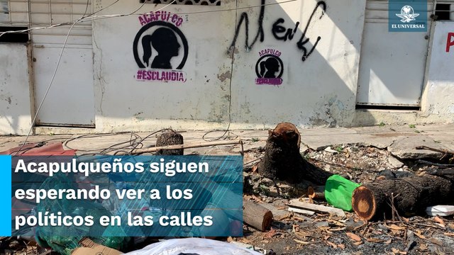 “Ahora sólo vemos a los políticos en su propaganda”