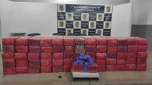 Polícia Civil confirma que drogas apreendidas em Pombal e Cajazeiras chega a quase 1.500 kg