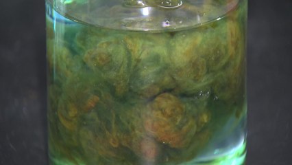 금속이 열리는 섬유?...폐수 속 금속 회수 신기술 / YTN