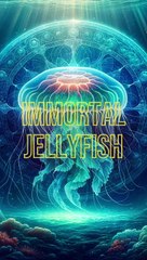 Do You Know - Immortal Jellyfish