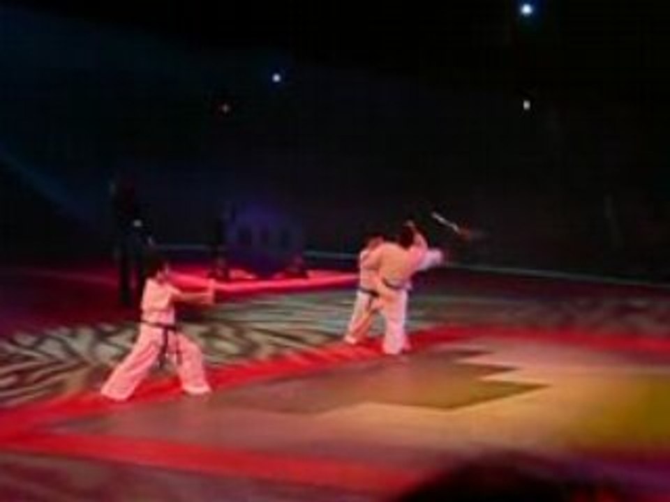 Karate:  Casse de batte de baseball