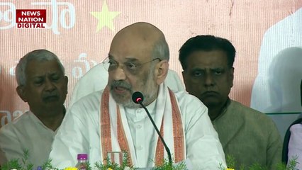 Telangana Election 2023 : Telangana विधानसभा चुनाव के लिए BJP ने जारी किया घोषणा पत्र