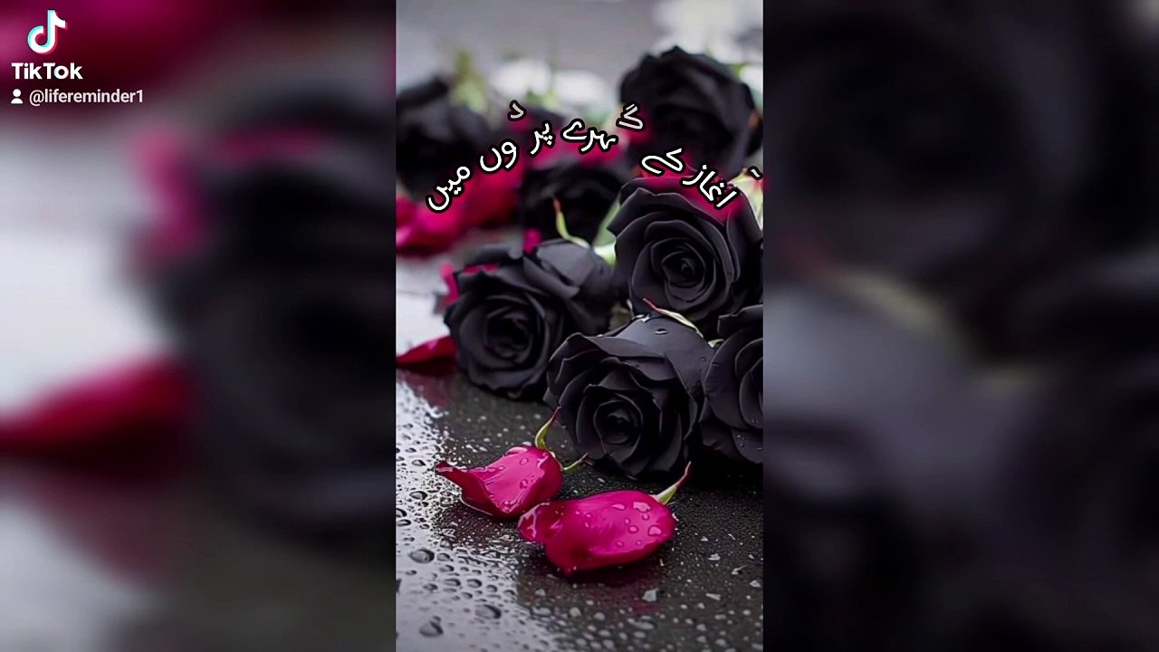 سب جھوٹے رشتے ناطے ہیں | اردو شاعری