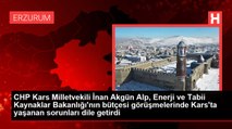 CHP Kars Milletvekili İnan Akgün Alp, Enerji ve Tabii Kaynaklar Bakanlığı'nın bütçesi görüşmelerinde Kars'ta yaşanan sorunları dile getirdi
