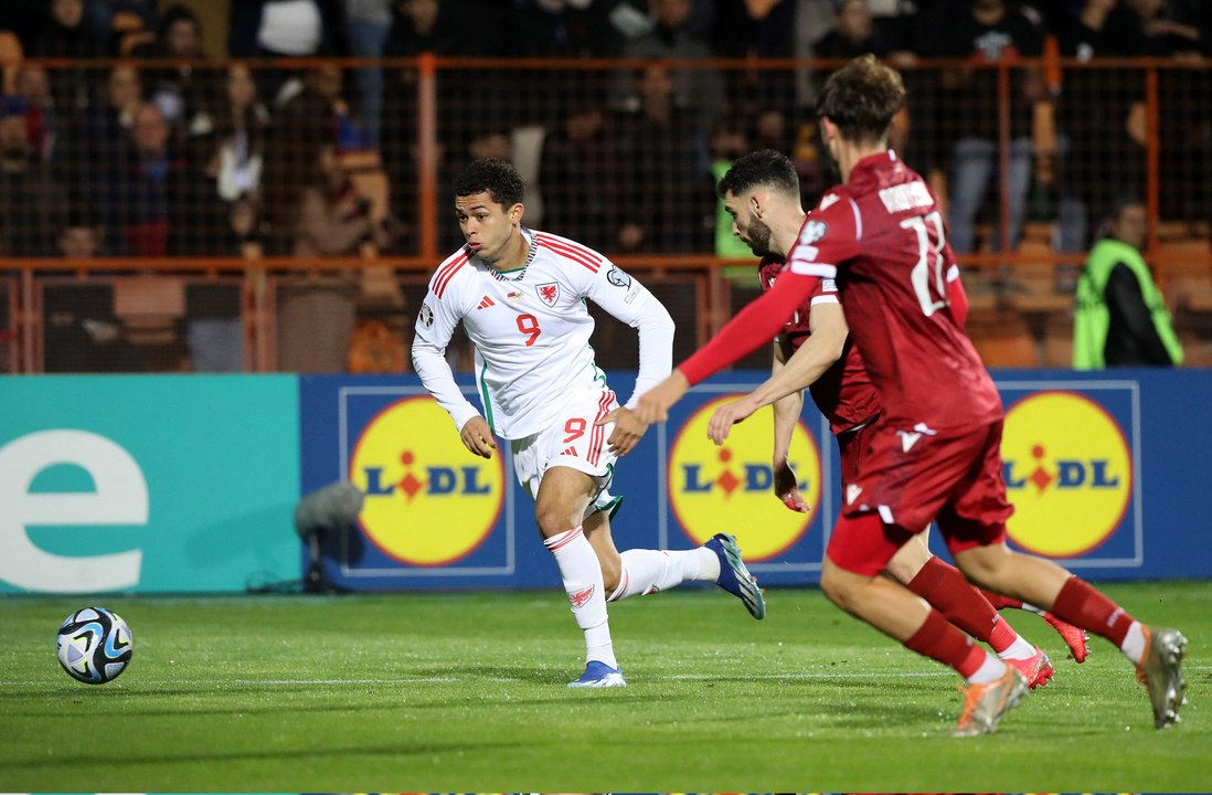 AR HL EURQ ARM WAL 181123